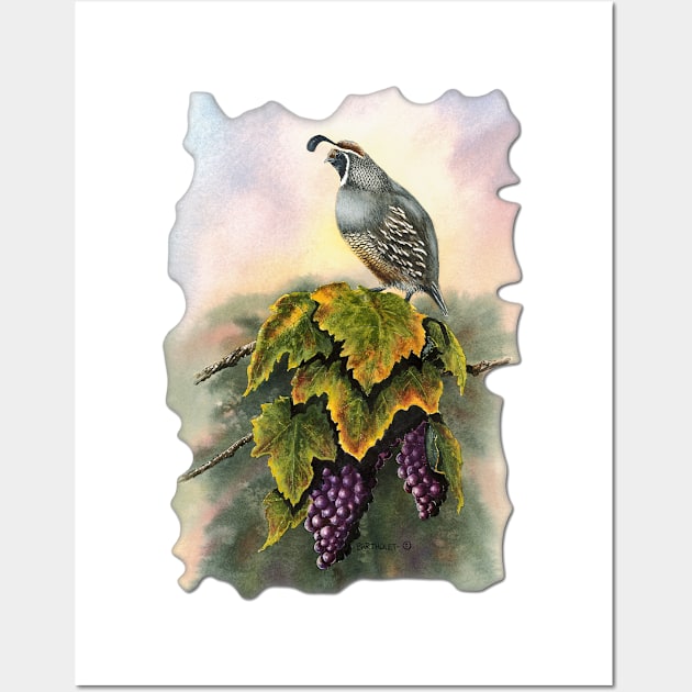 Vineyard Quail Wall Art by Dave Bartholet Wildlife Art